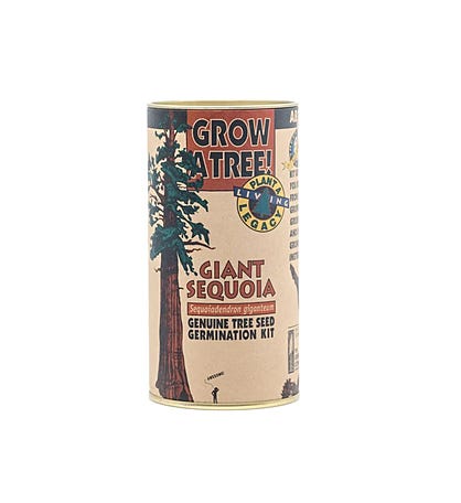 Giant Sequoia Seed Grow Kit